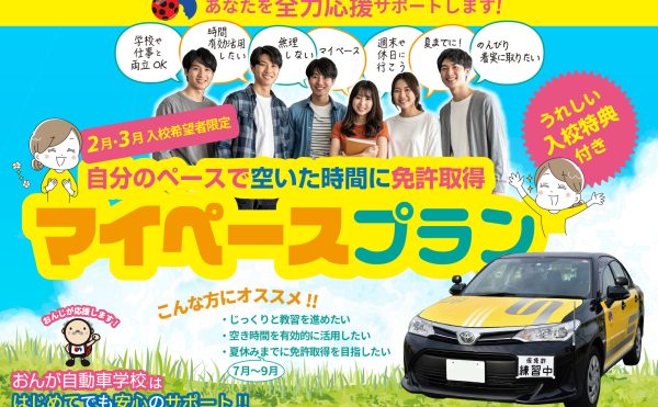 マイペースプラン